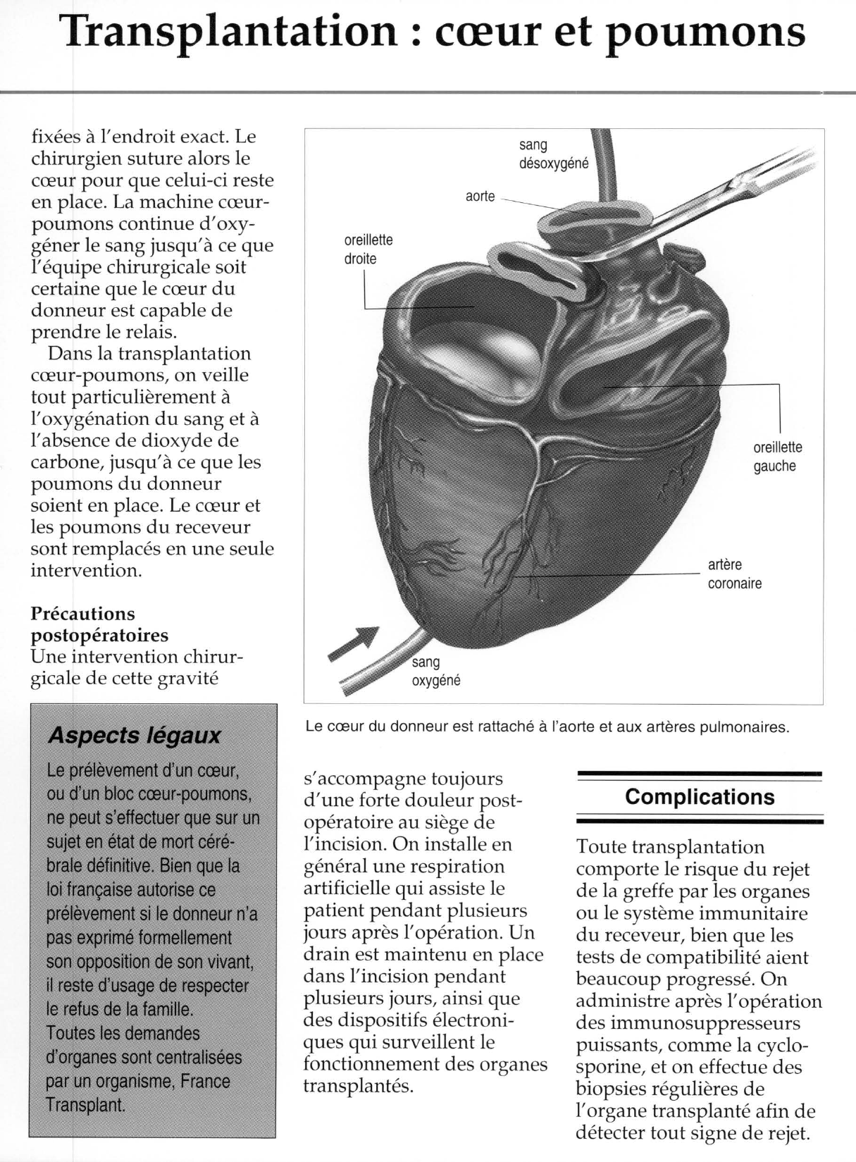 Prévisualisation du document Transplantation : coeur et poumons.