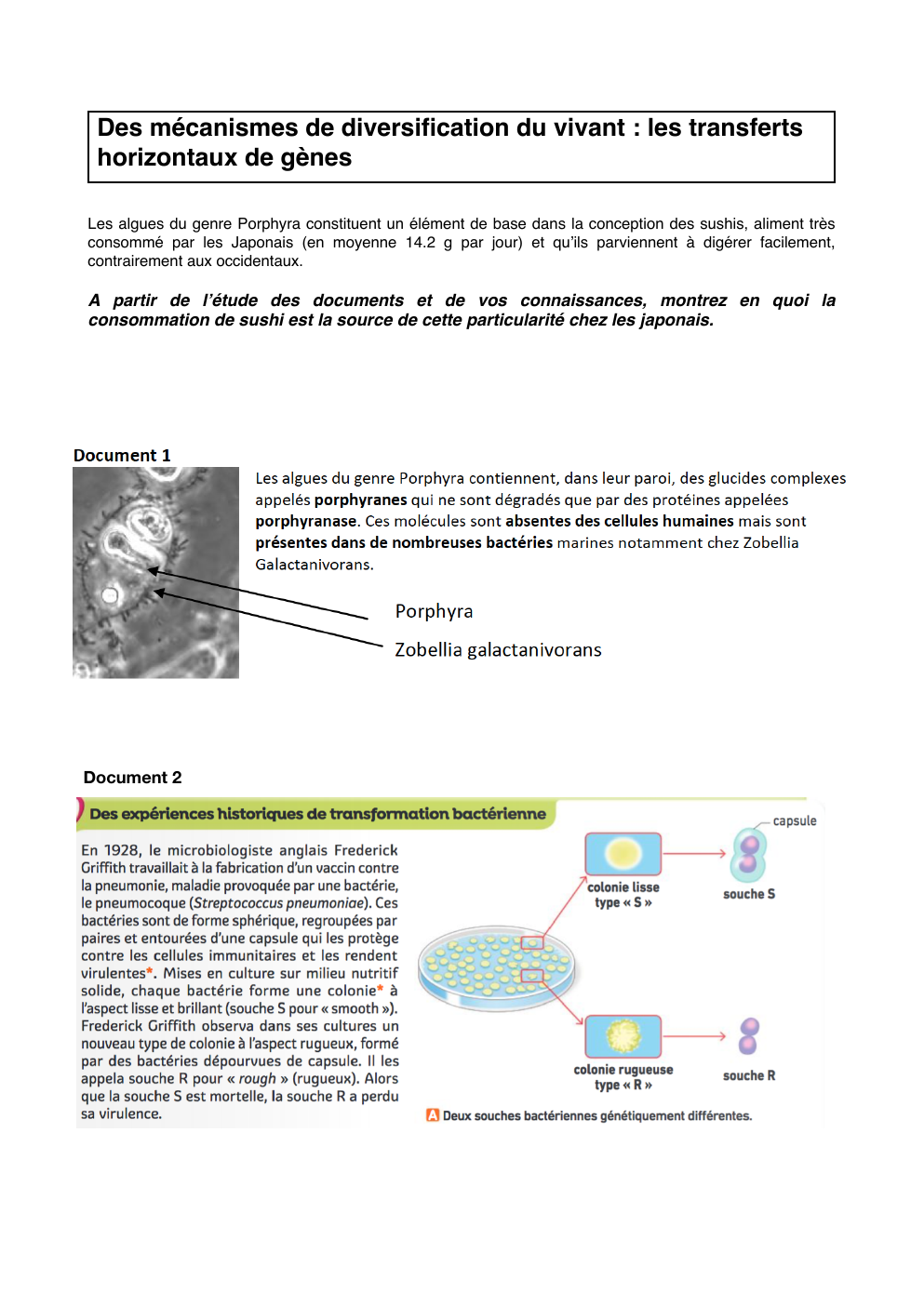 Prévisualisation du document Trasnfert horizontaux de gènes