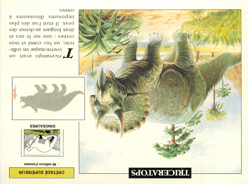 Prévisualisation du document TRICERATOPS