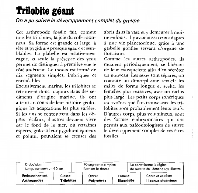 Prévisualisation du document Trilobite géant:On a pu suivre le développement complet du groupe.