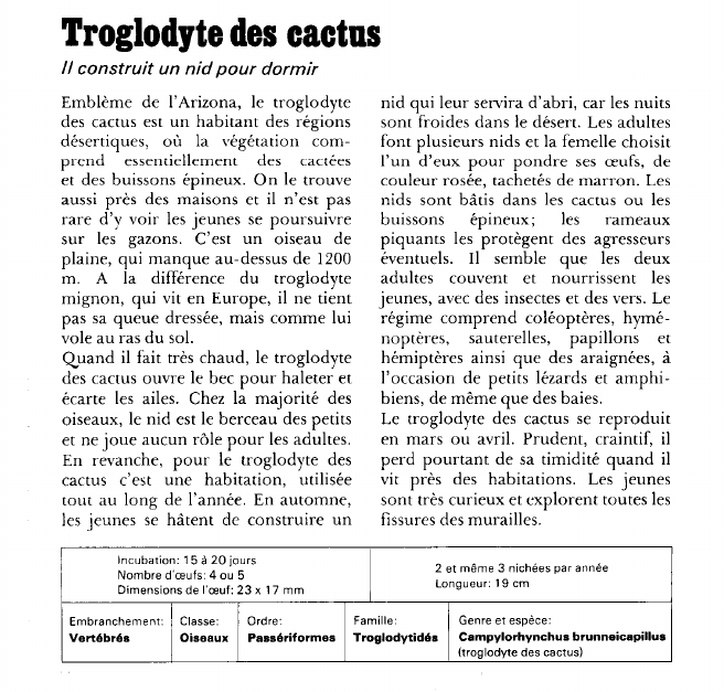 Prévisualisation du document Troglodyte des cactus:Il construit un nid pour dormir.