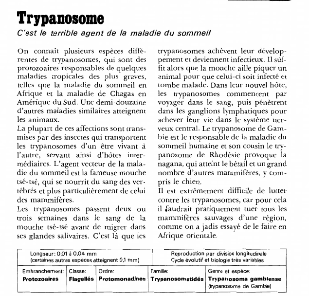 Prévisualisation du document Trypanosome:C'est le terrible agent de la maladie du sommeil.