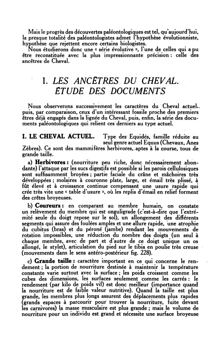 Prévisualisation du document UN ASPECT DE L'ÉVOLUTION DES ÊTRES VIVANTS : ÉTUDE D'UN FAIT PALÉONTOLOGIQUE