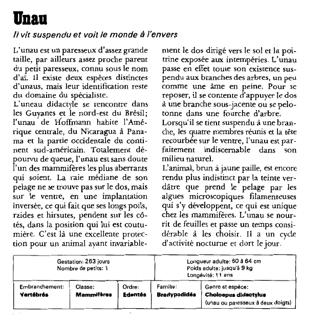 Prévisualisation du document Unau:il vit suspendu et voit le monde à l'envers.