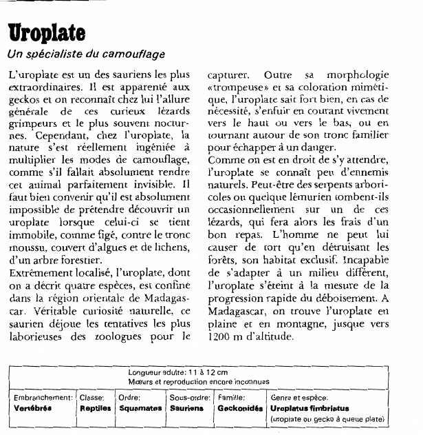 Prévisualisation du document Uroplate:Un spécialiste du camouflage.