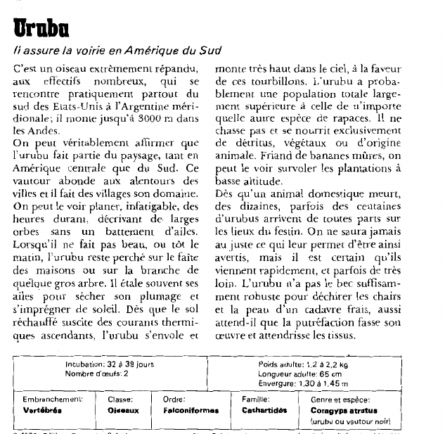 Prévisualisation du document UrubuIl assure la voirie en Amérique du Sud.