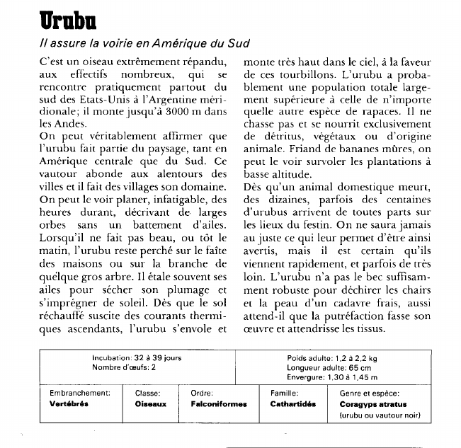 Prévisualisation du document Urubu:Il assure la voirie en Amérique du Sud.