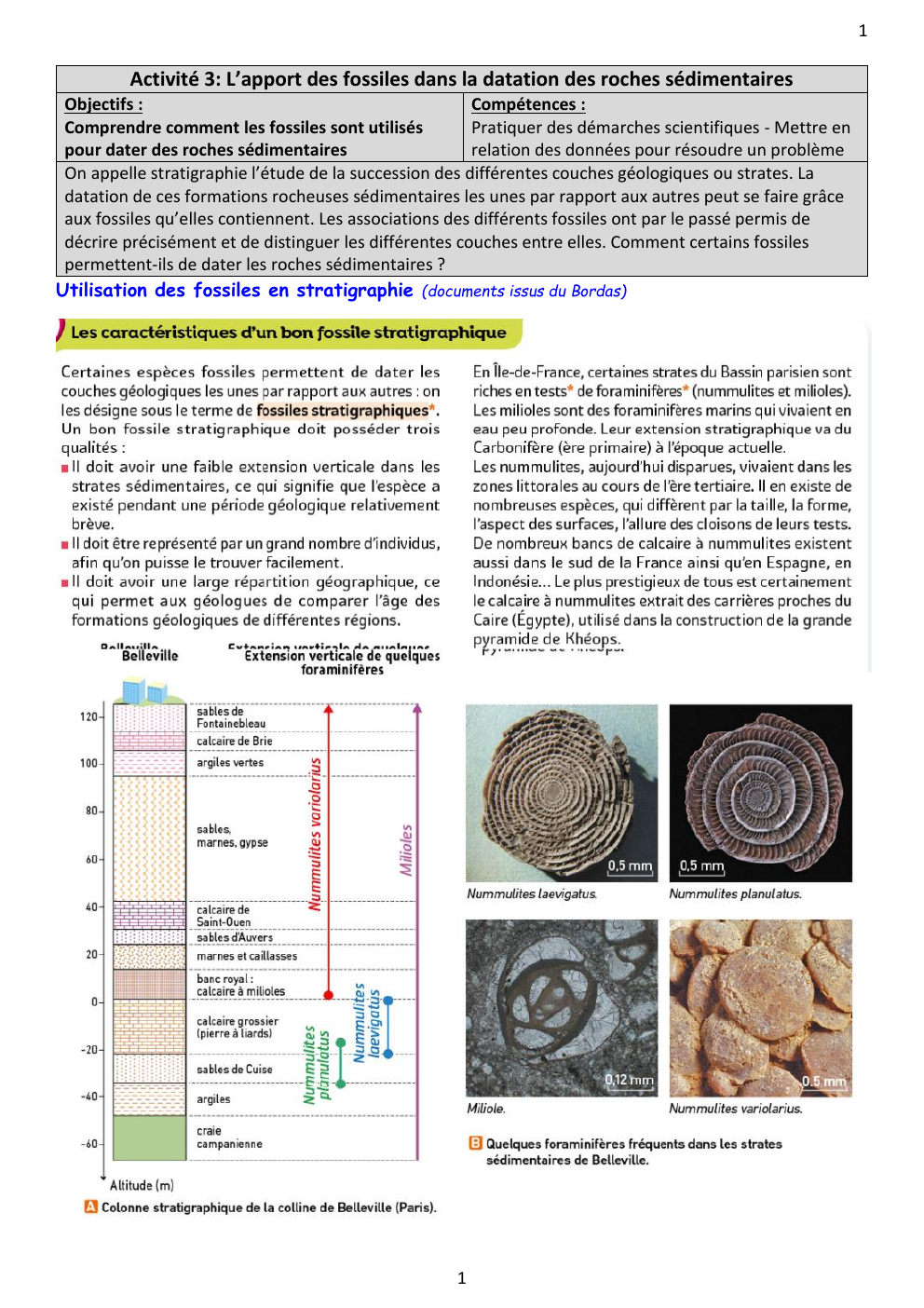 Prévisualisation du document Utilisation des fossiles stratigraphiques