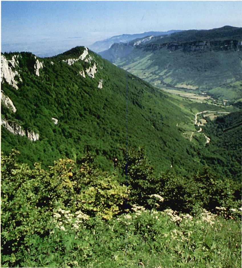 Prévisualisation du document VALLÉE DU RHÔNE - ALPES
Vallée de la Bouvante, vue du col de la Bataille.