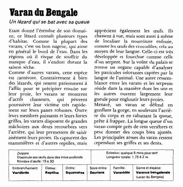 Prévisualisation du document Varan du Bengale:Un lézard qui se bat avec sa queue.