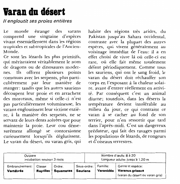 Prévisualisation du document Varan du désert:Il engloutit ses proies entières.