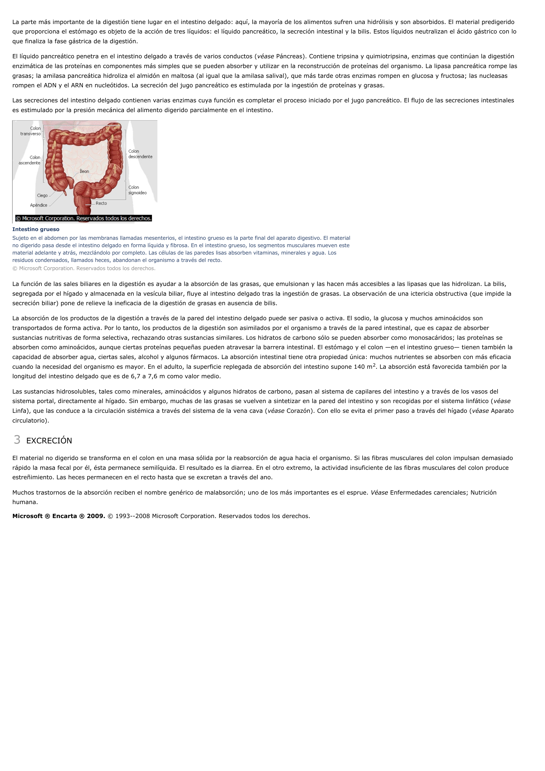 Prévisualisation du document Vendredi ou les limbes du pacifiques