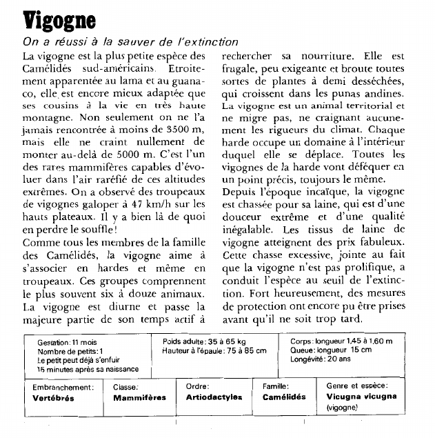 Prévisualisation du document Vigogne:On a réussi à la sauver de l'extinction.