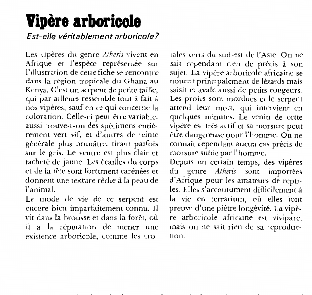 Prévisualisation du document Vipère arboricole:Est-elle véritablement arboricole?