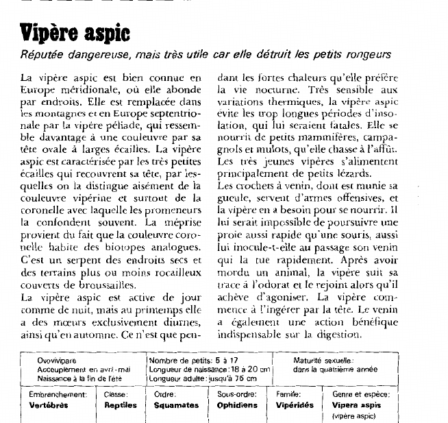 Prévisualisation du document Vipère aspic:Réputée dangereuse, mais très utile car elle détruit les petits rongeurs.