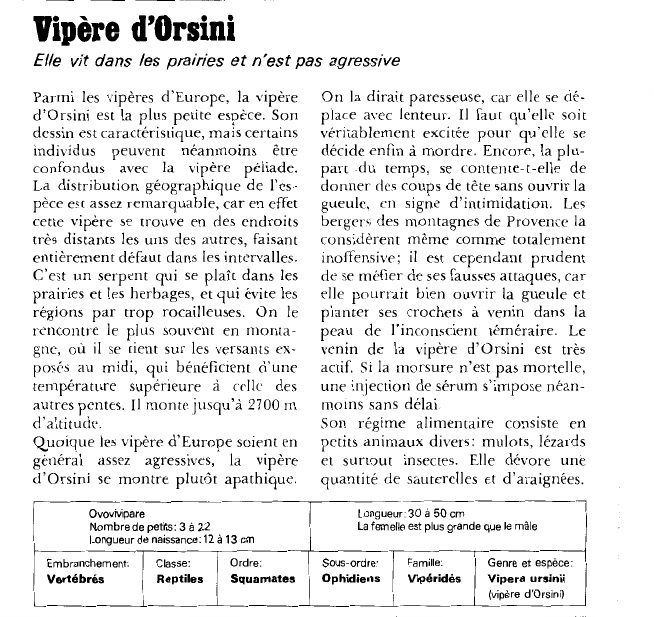 Prévisualisation du document Vipère d'Orsini:Elle vit dans les prairies et n'est pas agressive.