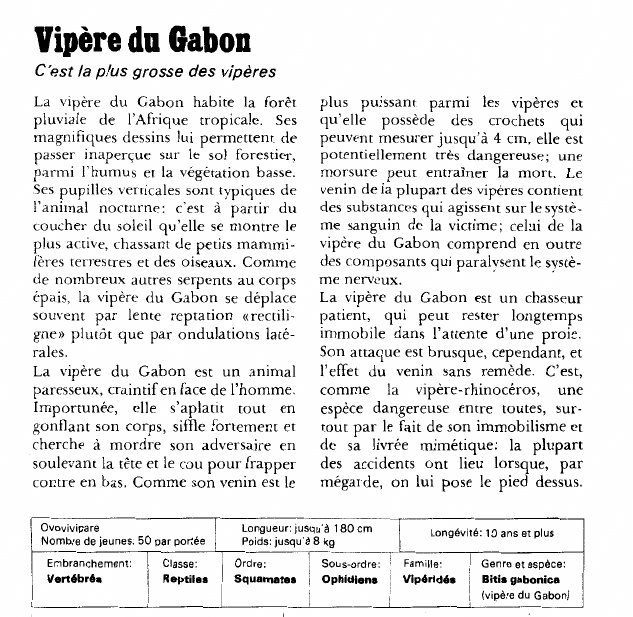 Prévisualisation du document Vipère du GabonC'est la plus grosse des vipères.