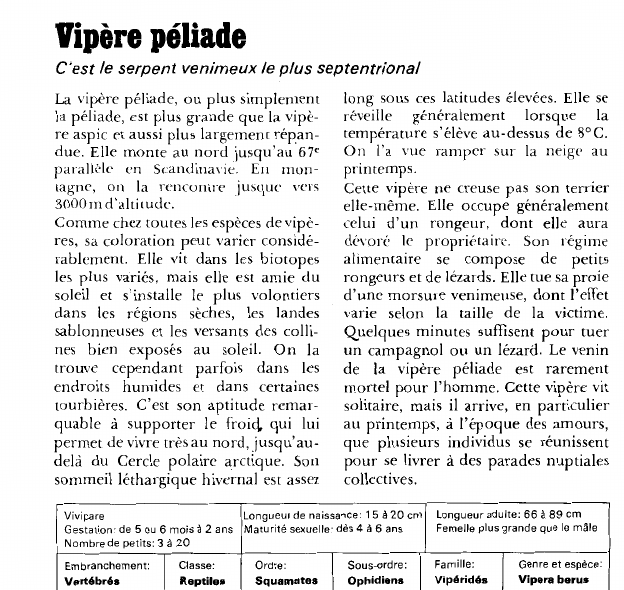 Prévisualisation du document Vipère péliade:C'est le serpent venimeux le plus septentrional.