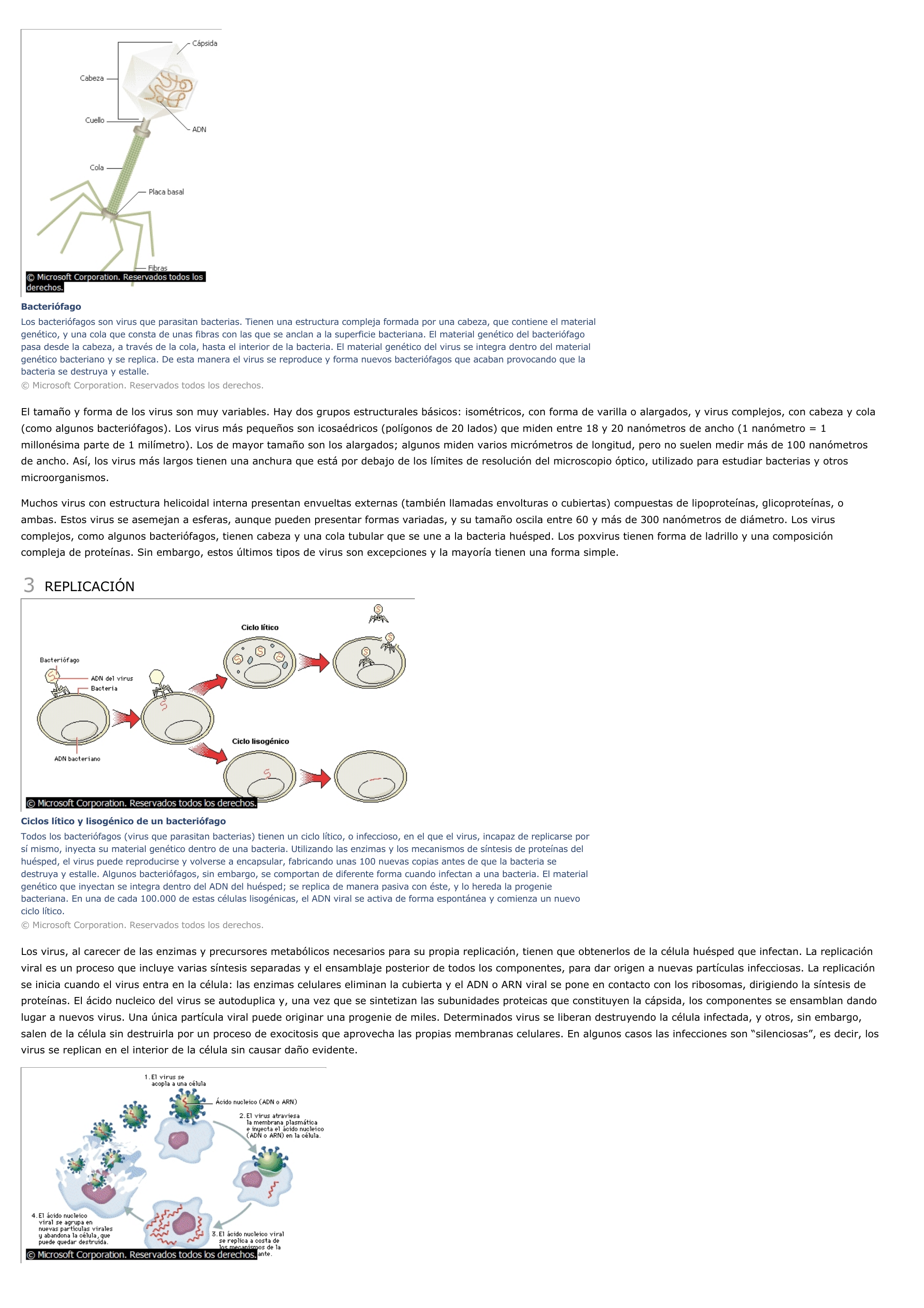 Prévisualisation du document Virus - ciencias de la naturaleza.