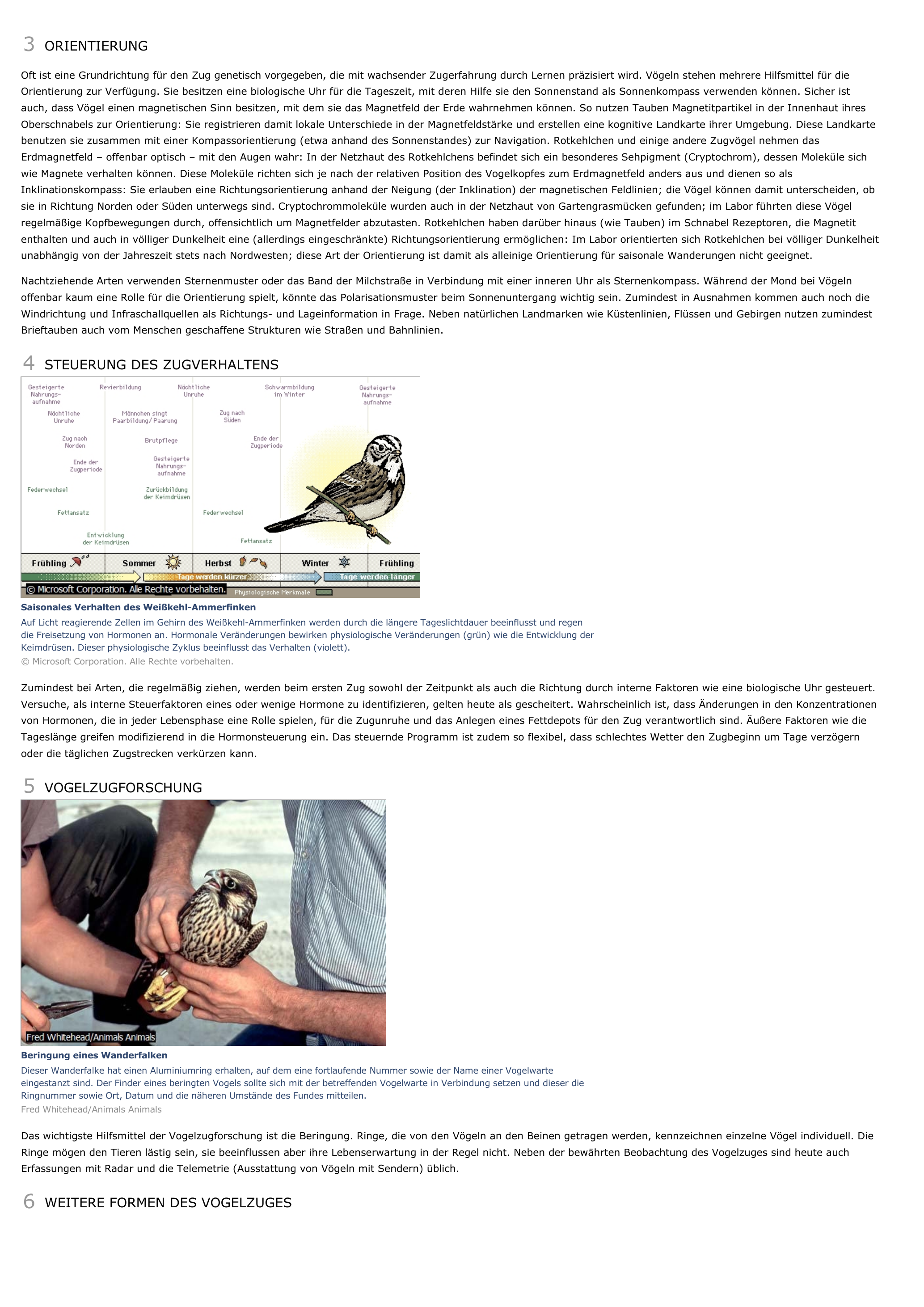 Prévisualisation du document Vogelzug - Tiere.