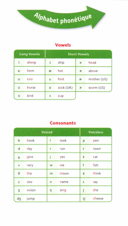 Prévisualisation du document Vowels
Long Vowels
i:

shee p

a:

farm

u:

Short Vowels

1
sh ip

e

head

a,

hat

9

above...