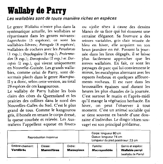 Prévisualisation du document Wallaby de Parry:Les wallabies sont de toute manière riches en espèces.