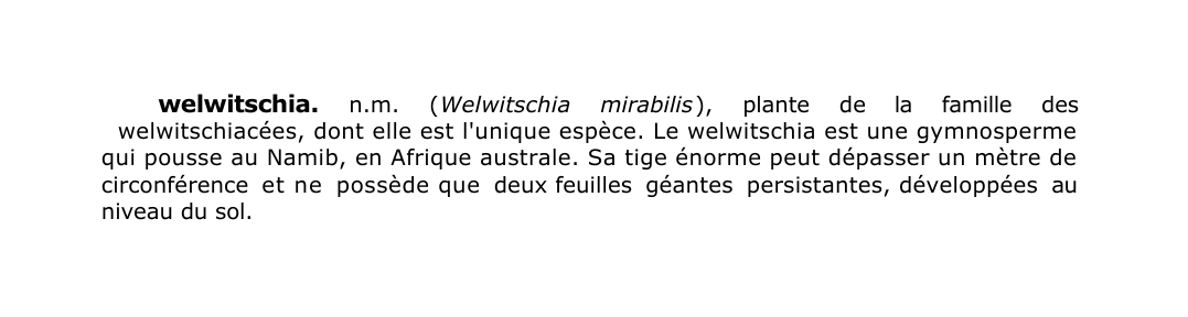 Prévisualisation du document welwitschia.