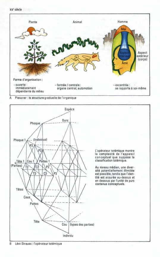 Prévisualisation du document XX' siècle
Animal

Plante

Forme d'organisation:
-ouverte:
immédiatement
dépendante du milieu
A

-fermée/ centrale :
organe central, automotion

Homme

-excentrée:...