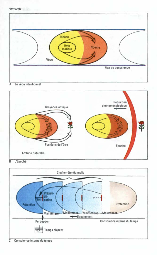 Prévisualisation du document xx• siècle

Flux de conscience

A

Le vécu intentionnel

Croyance ontique

Positions de l'être
Attitude naturelle
8

L'Epoché
Chaîne rétentionnelle...