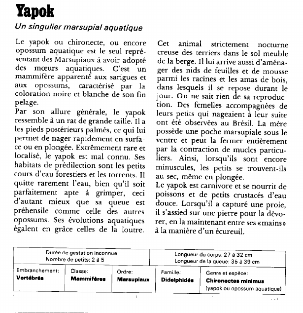 Prévisualisation du document Yapok:Un singulier marsupial aquatique.