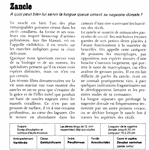 Prévisualisation du document Zancle:A quoi peut bien lui servir la longue queue ornant sa nageoire dorsale ?