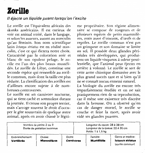 Prévisualisation du document ZorilleIl éjecte un liquide puant lorsqu'on l'exciteLe zorille est l'équivalent africain des skunks américains.