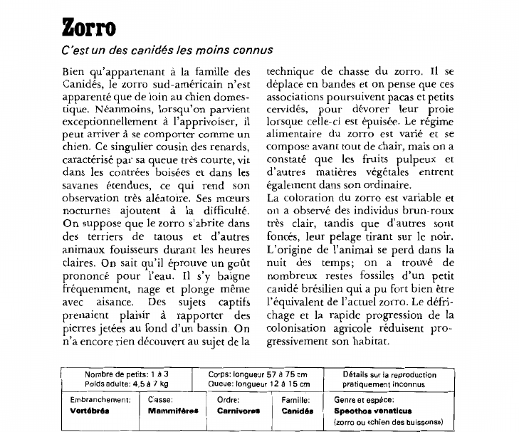 Prévisualisation du document Zorro:C'est un des canidés les moins connus.
